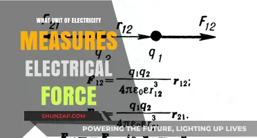 Understanding Electrical Force: Units and Measurements