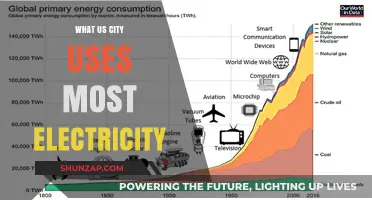 Which U.S. City Consumes the Most Electricity Annually?