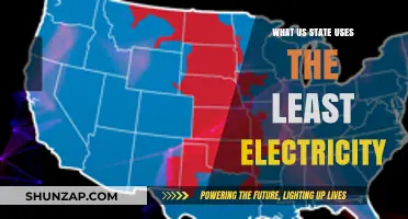 Which US State Consumes the Least Electricity Annually?