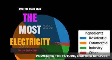 Which U.S. State Consumes the Most Electricity Annually?