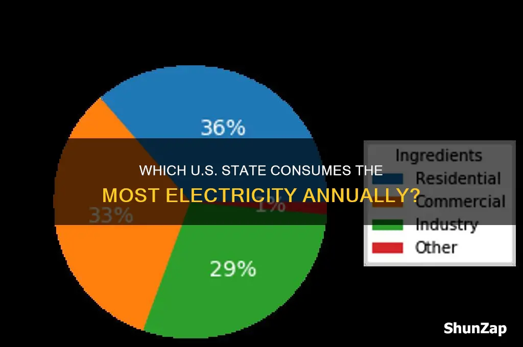 what us state uses the most electricity