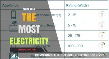 Top Energy Consumers: What Uses the Most Electricity in Homes?