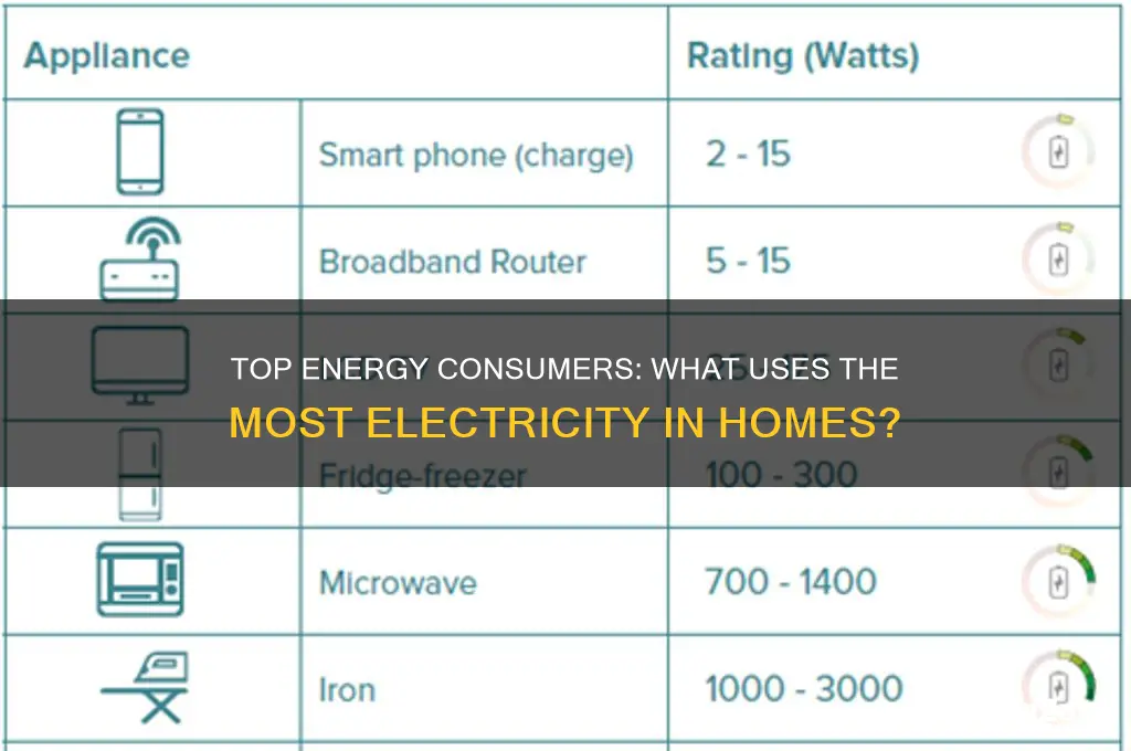 what used the most electricity