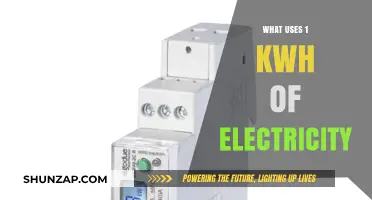 Exploring Everyday Devices That Consume 1 kWh of Electricity