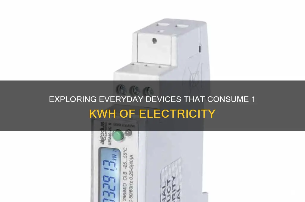 what uses 1 kwh of electricity