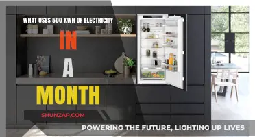 Uncovering Monthly Energy Hogs: What Consumes 500 kWh of Electricity?