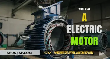 Electric Motors Powering Everyday Devices: From Home Appliances to Vehicles