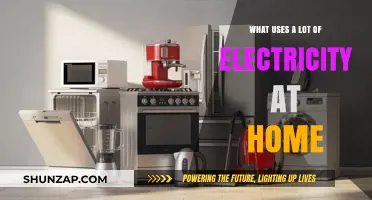 High Energy Culprits: Home Appliances Draining Your Electricity Bill