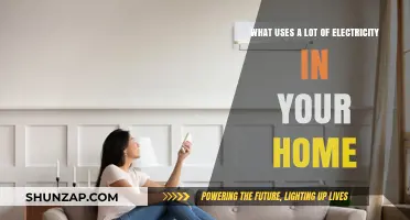 High Energy Culprits: Uncovering Your Home's Biggest Electricity Consumers