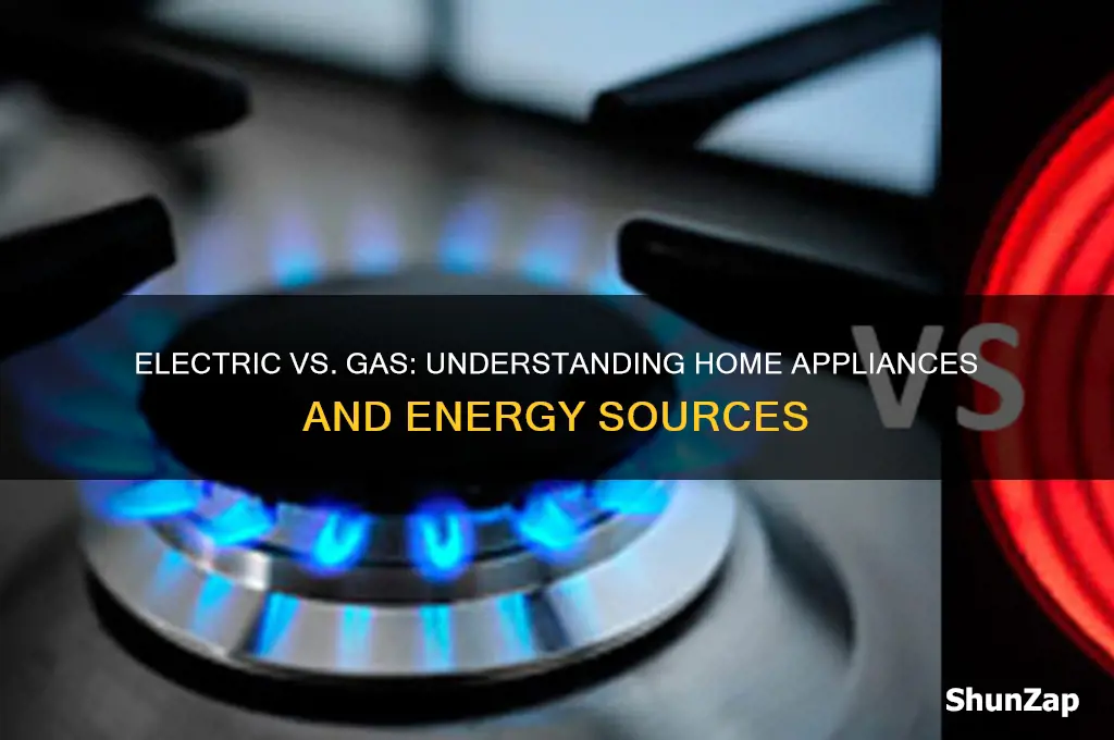 what uses electric and what uses gas