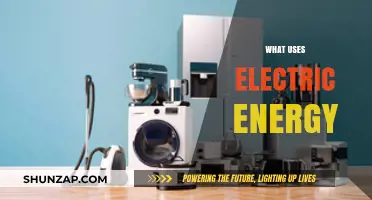 Everyday Devices and Appliances Powered by Electric Energy Explained