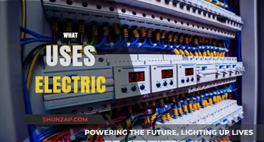 Electricity in Action: Everyday Devices and Appliances That Use Electric Power