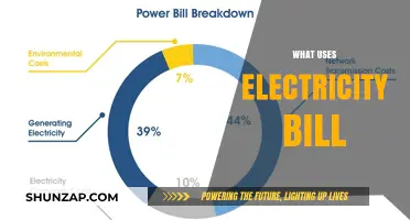 Understanding Your Electricity Bill: Common Household Uses and Costs