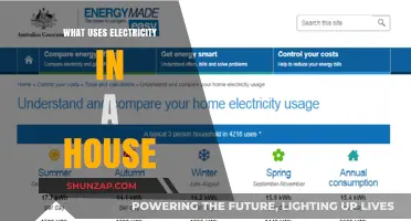Uncovering Hidden Energy Drains: What Uses Electricity in Your Home?