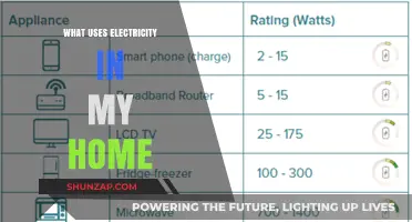 Uncovering Hidden Energy Drains: What Uses Electricity in Your Home?