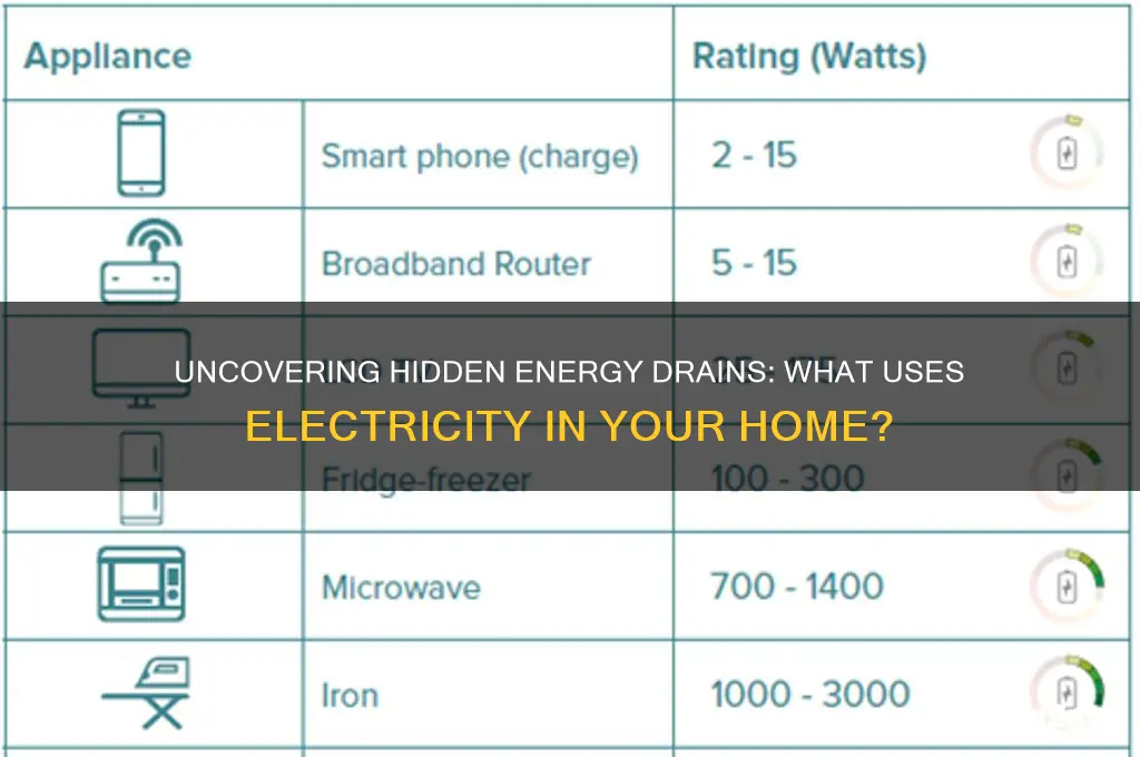what uses electricity in my home