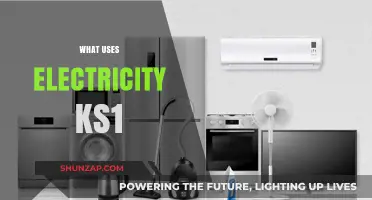 Electricity in Our Homes: KS1 Guide to Everyday Uses