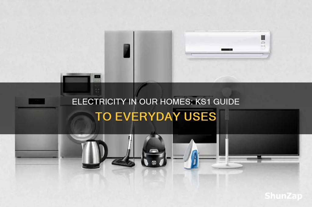 what uses electricity ks1