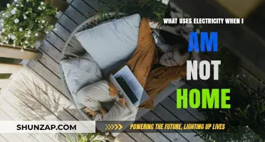 Hidden Energy Drains: What Uses Electricity When You're Away?