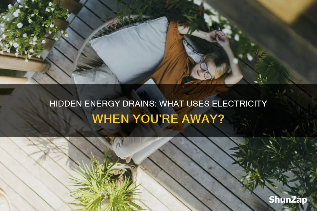 what uses electricity when i am not home