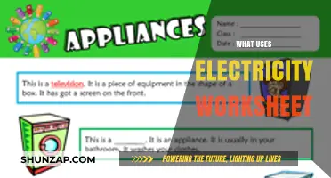 Discover Everyday Devices: What Uses Electricity Worksheet Guide