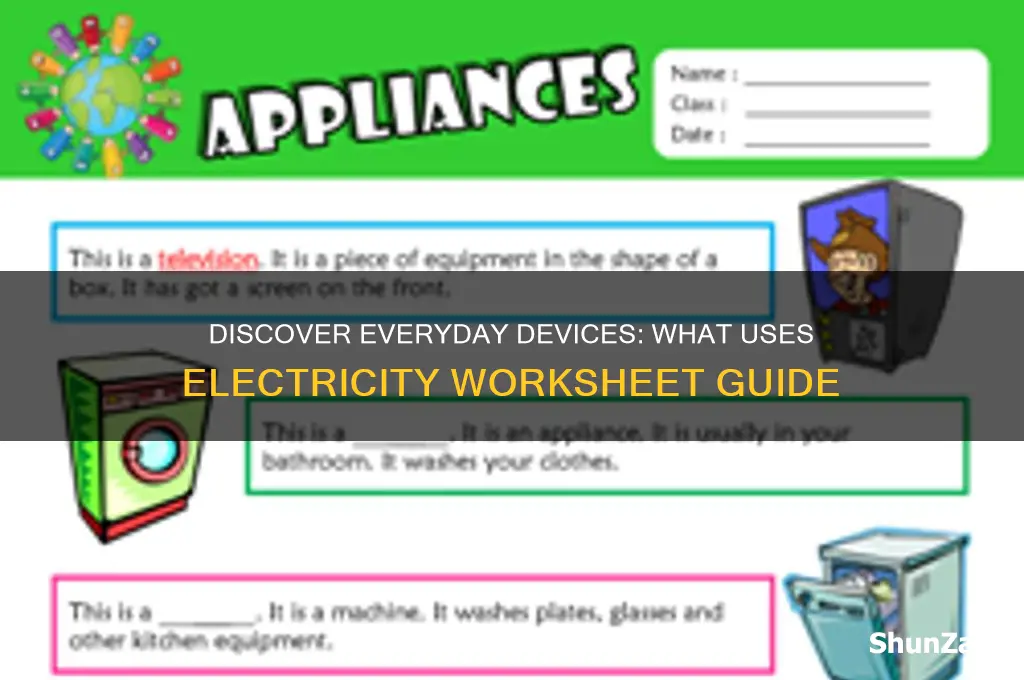 what uses electricity worksheet