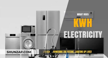 Understanding kWh: Everyday Devices and Appliances That Consume Electricity