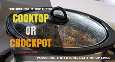 Electric Cooktop vs. Crockpot: Which Saves More Energy?
