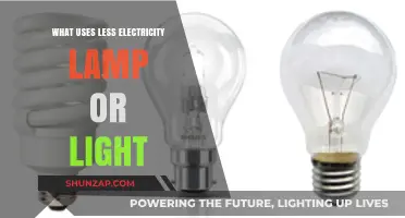 Lamp vs. Light: Which Uses Less Electricity in Your Home?