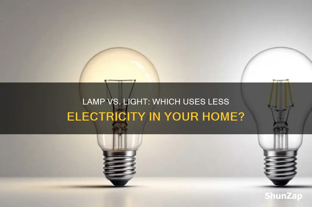 what uses less electricity lamp or light