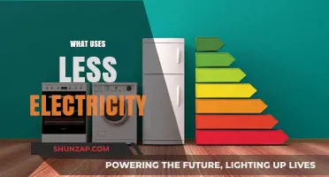 Energy-Efficient Choices: What Uses Less Electricity in Your Home?
