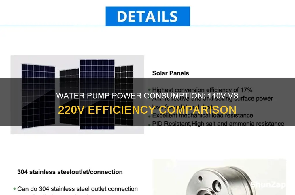 what uses more electricity 110 or 220 water pump