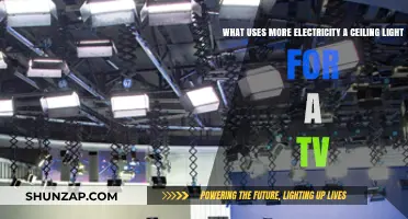 Ceiling Light vs. TV: Which Device Consumes More Electricity?