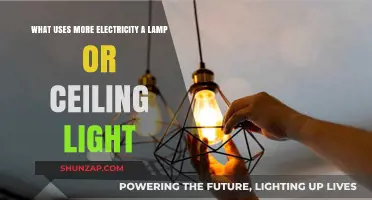 Lamp vs. Ceiling Light: Which Consumes More Electricity?
