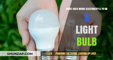 TV vs. Light Bulb: Which Consumes More Electricity?