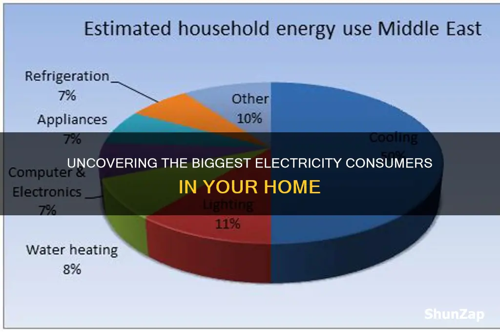 what uses more electricity in a house