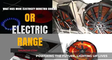Induction vs. Electric Range: Which Uses More Electricity?