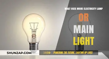 Lamp vs. Main Light: Which Consumes More Electricity?