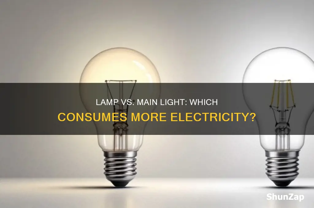 what uses more electricity lamp or main light