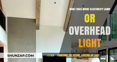 Lamp vs. Overhead Light: Which Consumes More Electricity?