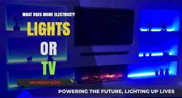 Lights vs. TV: Which Device Consumes More Electricity?