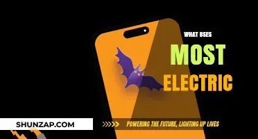 Top Energy-Draining Appliances: What Uses the Most Electricity?
