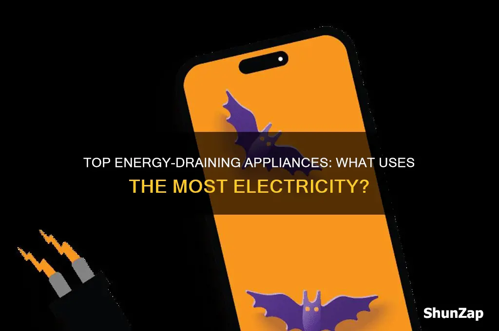 what uses most electric