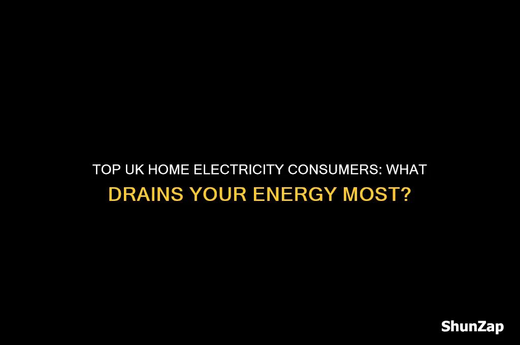 what uses most electricity in home uk
