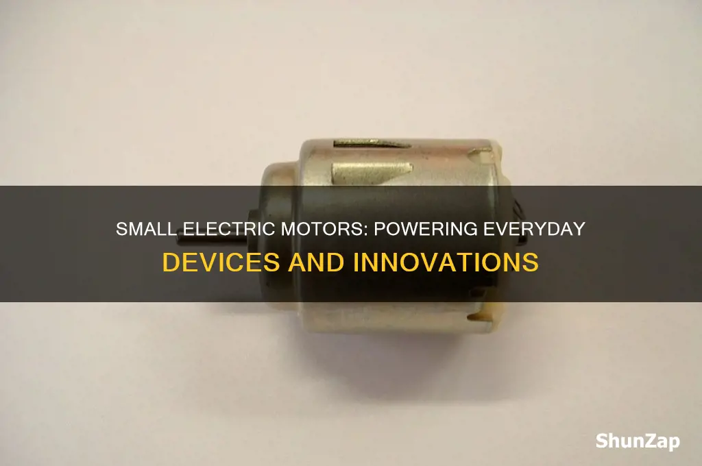 what uses small electric motors