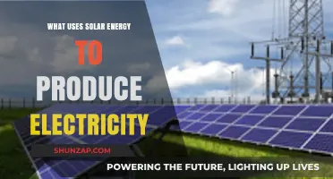 Harnessing the Sun: How Solar Energy Generates Electricity for a Greener Future