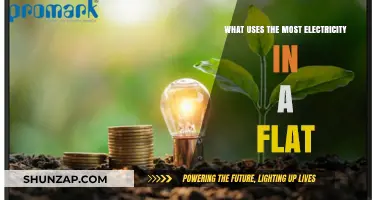 Top Flat Electricity Consumers: Uncovering the Biggest Energy Drains