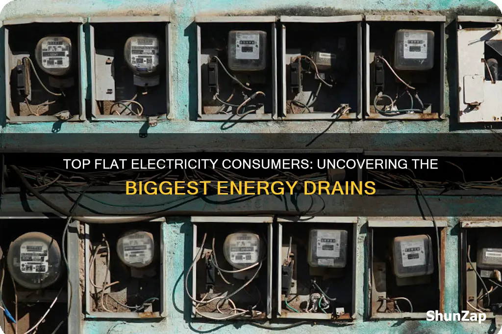 what uses the most electricity in a flat