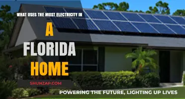 Florida's Top Energy Culprits: What Drains Your Home's Electricity Most?