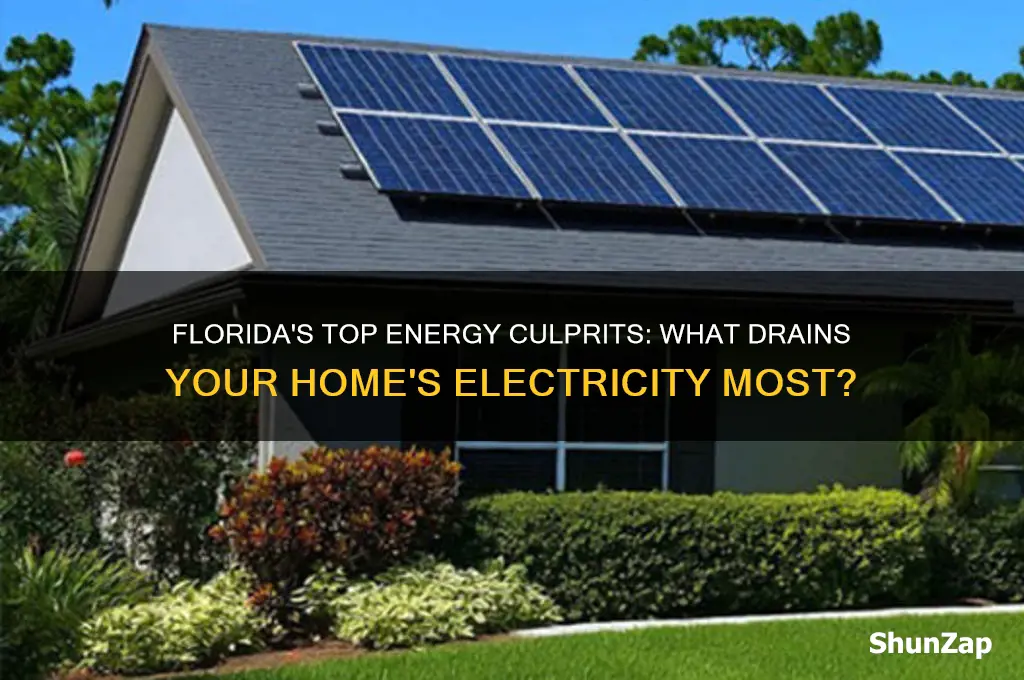 what uses the most electricity in a florida home